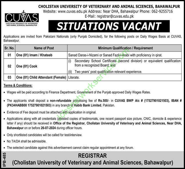 Cholistan University OF Veterinary and Animal Sciences Bahawalpur Jobs